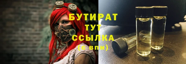 шишки Братск