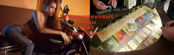 соль курить ск Великий Новгород