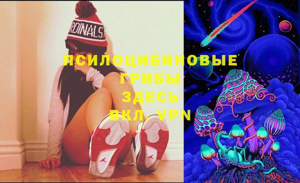 шишки Братск