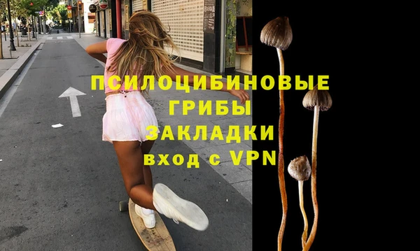 шишки Братск