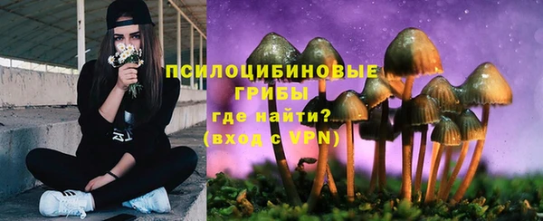 прущая мука Мурманск