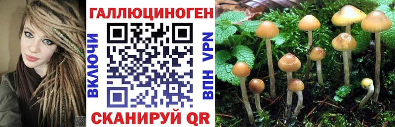 продажа наркотиков  Анжеро-Судженск  Псилоцибиновые грибы ЛСД 