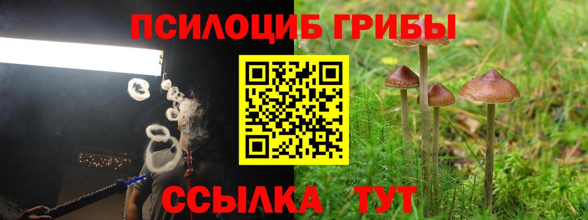 Галлюциногенные грибы прущие грибы Анжеро-Судженск