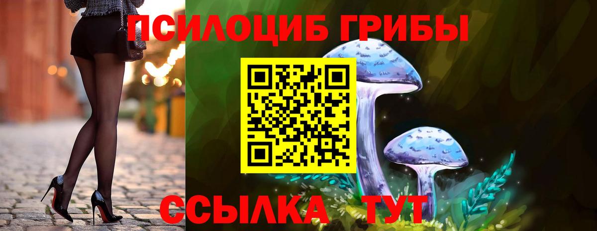 Анжеро-Судженск  Псилоцибиновые грибы мухоморы  Псилоцибиновые грибы MAGIC MUSHROOMS  Вход с VPN 